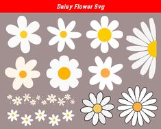 the daisy flower svg is shown in white, yellow and gray colors with daisies