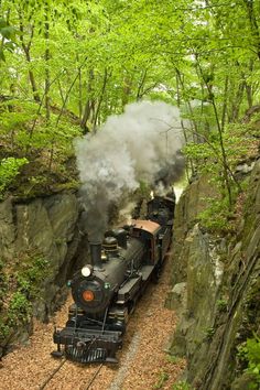 a train traveling through a lush green forest filled with lots of trees and rocks on the side of a cliff