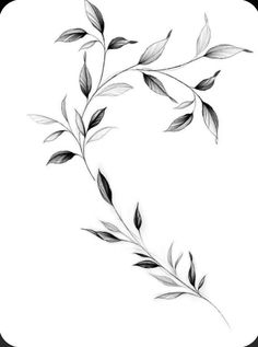 a black and white drawing of leaves