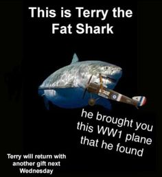 a shark with an airplane on it's back and the words, this is ferry the