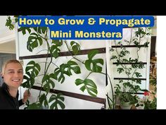 a man standing in front of a wall with plants on it and the words how to grow & propagate mini monsters