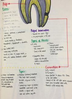 Surgery Assistant, Dental Notes, Dental Assistant School, Dental Hygienist School, Tooth Extraction Aftercare, Hygiene School, Dental Assistant Study, Registered Dental Hygienist