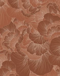 an orange and brown wallpaper with many different types of flowers