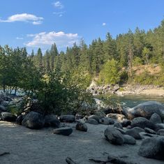 rocks and trees on the shore of a river