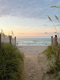 a path leading to the beach through tall grass