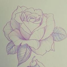 a drawing of a rose with leaves on it