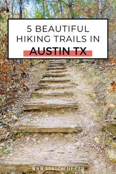 Hiking In Austin Texas, Austin Hiking, Hiking In Texas, Beginner Hiking, Texas Adventure