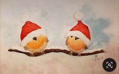 two birds wearing santa hats sitting on a branch