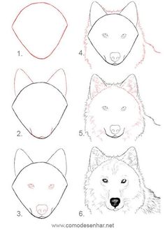 step by step instructions for how to draw a wolf's head in four easy steps