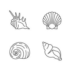 four seashells are shown in black and white, one has a snail, the other is a sea shell