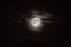 the full moon shines brightly in the dark sky above some tree tops at night