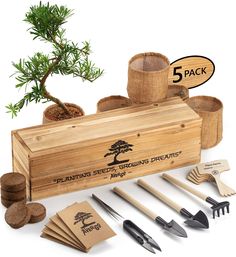 a bonsai tree in a wooden box surrounded by gardening utensils