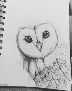 a drawing of an owl sitting on top of a table next to a pen and paper