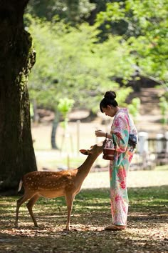 a woman in a kimono feeding a deer