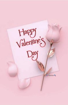 a pink rose sitting on top of a piece of paper with the words happy valentine's day