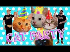 a group of cats wearing party hats with the words cat party in front of them