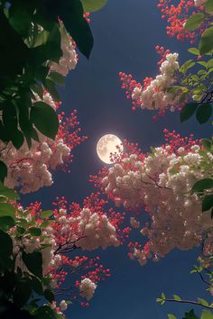 the full moon is seen through some pink and white flowers