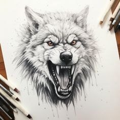 a drawing of a wolf with its mouth open