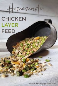 the homemade chicken layer feed is ready to be eaten