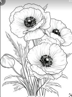 some flowers that are in the middle of a line art drawing style, with black and white