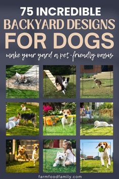 an advertisement for backyard designs for dogs with pictures of dogs in the grass and on the ground