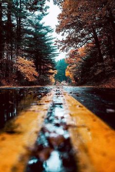 a long yellow line on the side of a road with trees in the background and water running down it