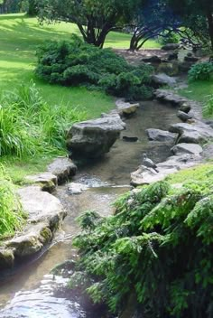 a small stream running through a lush green park