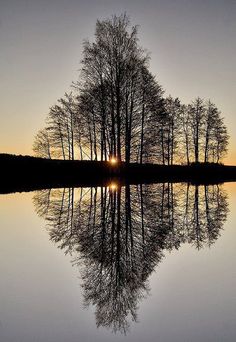 the sun is setting behind some trees and reflecting in the still water on the lake