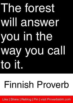 the forest will answer you in the way you call to it by finnish proverb