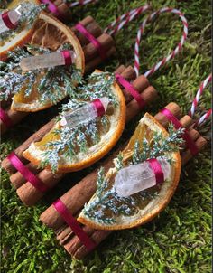 orange slices with cinnamon stick decorations on top of green grass and red ribbon around them