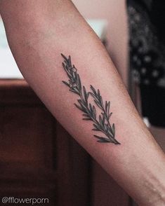 a tattoo on the arm of a woman with an olive branch in its center and leaves around it