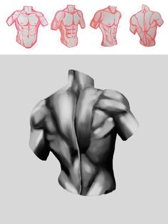 three different views of the back of a man's shirt, and one showing his muscles