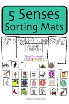 the five senses sorting mats with pictures and words to help students learn how to use them