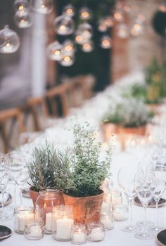 the table is set with wine glasses, candles and greenery in terracotta pots