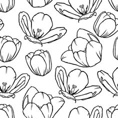 black and white flowers on a white background for coloring book pages or scrapbook pages