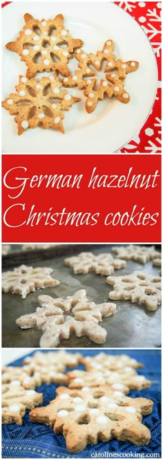 german hazelnut christmas cookies on a white plate