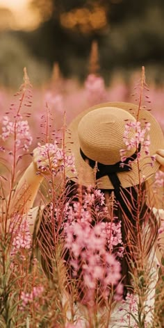 a woman wearing a straw hat in a field of pink flowers