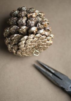 two pine cones are sitting next to some chopsticks and a pair of scissors