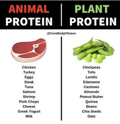 Chia Seed Yogurt, Tofu Turkey, Creatine Benefits, Plant Proteins, Chicken Chickpea, Tomato Nutrition, Calendula Benefits, Muscle Food