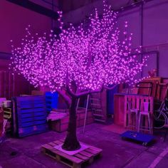 a purple lighted tree sitting in the middle of a room next to boxes and crates