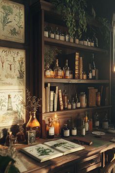 A moody apothecary-inspired workspace with botanical drawings, vintage books, and glass jars, creating a cozy dark modern office atmosphere, perfect for a dark moody small home office or dark home office setup. Dark Academia Open Concept, Dark Apothecary Aesthetic, Home Apothecary Ideas, Apothecary Workspace, Apothecary Library, Dark Academia Study Room, Moody Office Ideas, Small Moody Office, Apothecary Room