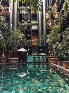 an indoor swimming pool surrounded by potted plants and hanging planters with umbrellas