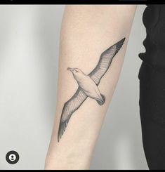 a small bird tattoo on the right forearm and arm, it is black and white