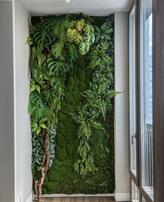 a living room with a green wall in the middle and wooden flooring on the other side