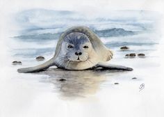 a watercolor painting of a seal on the beach