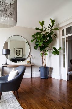 a living room with a mirror and potted plant on the table in front of it