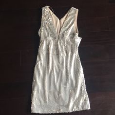 Silver Sequined Mini Dress By Zara. Features Super Closure In The Back. Vneck, Low Cut In The Front. Sequins All Over The Dress. Chic Fitted V-neck Dress With Sequins, Fitted Sleeveless V-neck Dress For Party, Fitted Backless V-neck Dress For Party, Fitted V-neck Sequin Dress Dressy, V-neck Sequin Dress For Date Night, Chic Stretch Sequin Sleeveless Dress, Chic Sleeveless Stretch Sequin Dress, Chic Stretch Sleeveless Sequin Dress, Fitted Sleeveless V-neck Party Dress