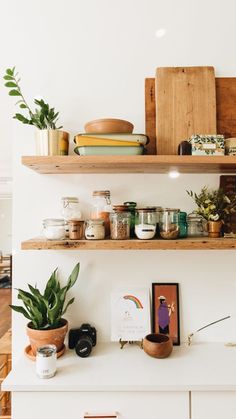 some shelves with plants and pictures on them