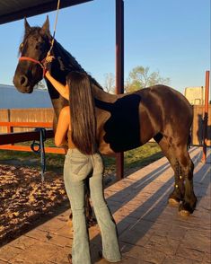 a woman standing next to a brown and black horse