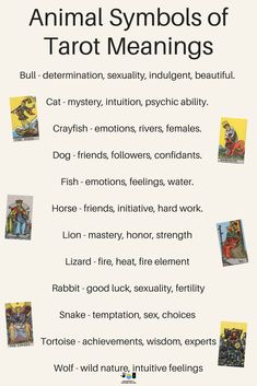 the animal symbols of tarot meanings are shown in this graphic above it's description